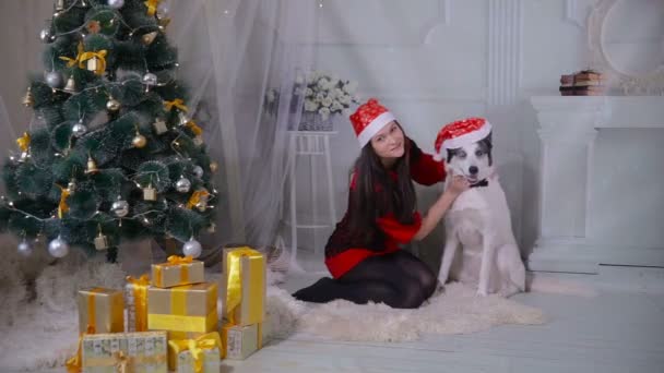 Chica sentada con perro cerca del árbol de Navidad . — Vídeo de stock