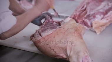 İşçi Kasap Et fabrikası kesme domuz eti de. Et fabrikasında taze çiğ domuz pirzolası.