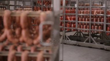 Sosis fabrikası dondurucu depolama. Hazır, bir büyük gıda depo ptoducts karşılamak yapılmış.