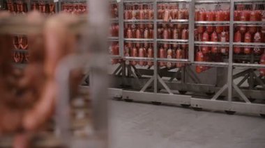 Sosis fabrikası dondurucu depolama. Hazır, bir büyük gıda depo ptoducts karşılamak yapılmış.