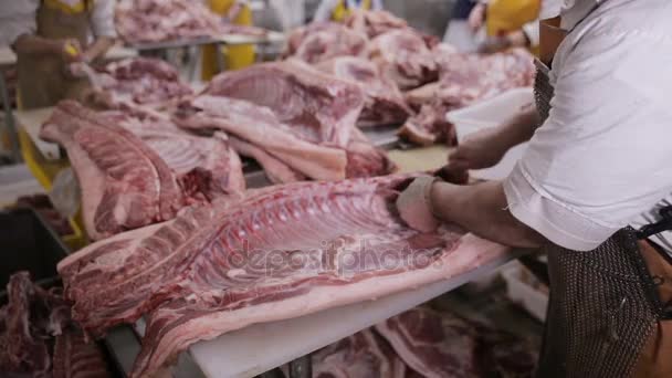 Fábrica de producción de carne. Vendedor de carne cortando carne en pedazos con un cuchillo de carnicero en una planta de procesamiento de carne . — Vídeo de stock