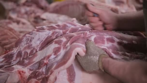 Мясокомбинат. Продавец мяса режет мясо на куски мясным ножом на мясокомбинате . — стоковое видео