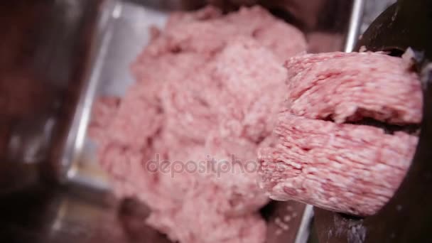 Производство мясопродуктов. Промышленный мясорубка для свинины или говядины работает, делая мясо фарш. — стоковое видео