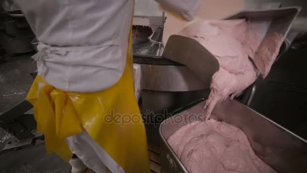 Maschine zur Hackfleischproduktion, die Fleisch und Gewürze für die Zubereitung von Hot Dogs und Würstchen in einer Lebensmittelfabrik mixt. — Stockvideo