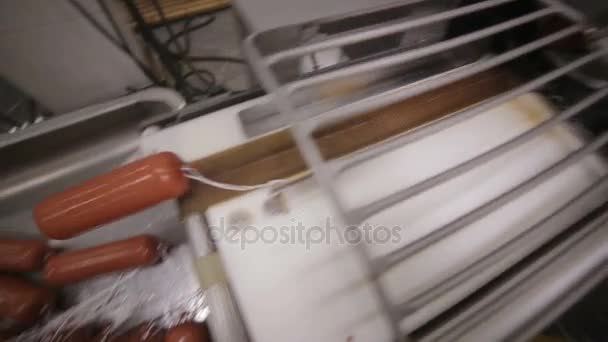 Meat delicacy production. Worker hands operates auotmated production line of sausages and meat products. — Stock Video