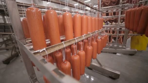 Salsicha, salsicha, salame em armazém . — Vídeo de Stock