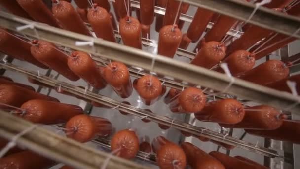 Travailleur mettant saucisse, bratwurst, salami sur un royal dans un entrepôt . — Video