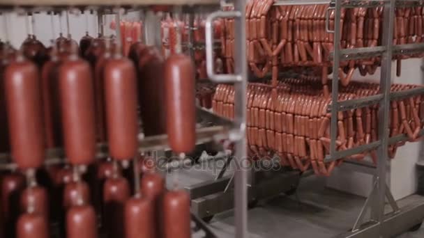Saucisse, bratwurst, salami dans un entrepôt . — Video