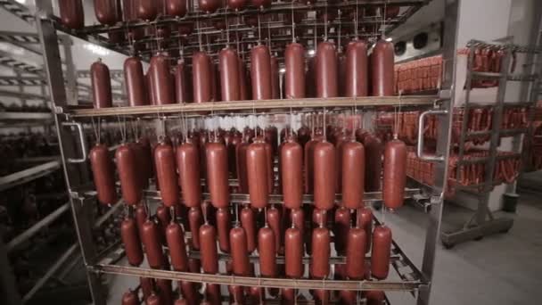 乾燥肉、ソーセージ、食品工場の倉庫にぶら下がっている肉製品. — ストック動画
