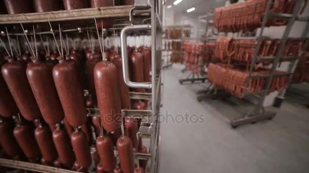 Párky v továrně chladícím zařízením. Krása cihel splňují ptoducts ve skladu, velké jídlo. — Stock video