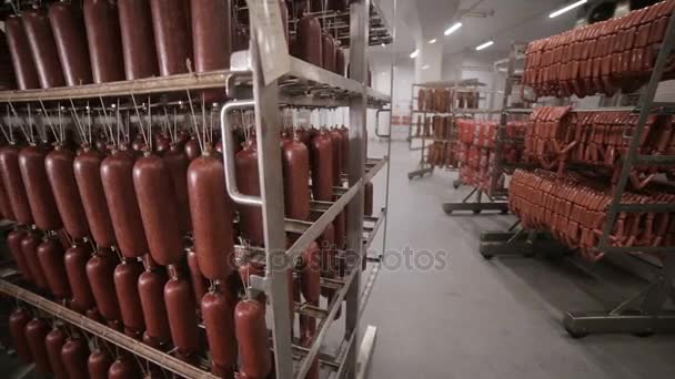 Сушене м'ясо, ковбаси, м'ясні вироби, що висять на складі харчової фабрики . — стокове відео