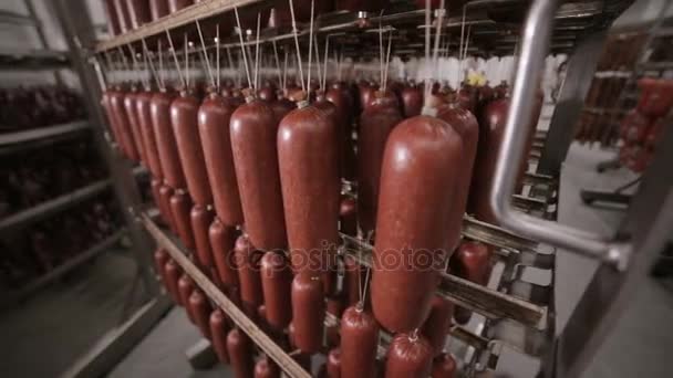 Saucisses dans le congélateur de l'usine. Prêt, fait rencontrer des ptoducts dans un grand entrepôt alimentaire . — Video