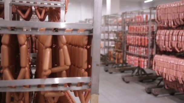 Salchichas, salchichas, salami en un almacén . — Vídeos de Stock