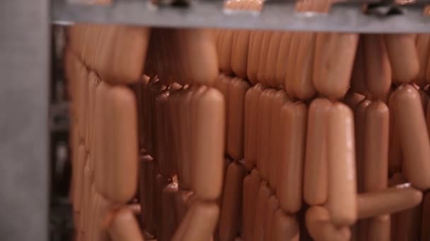 Sausages in the factory freezer storage. Ready, made meet ptoducts at a big food warehouse. — Stock Video