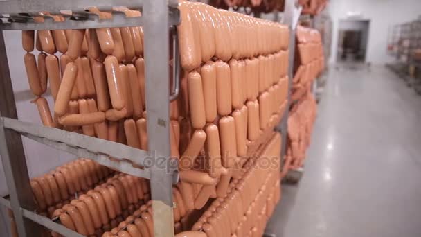 Carne seca, embutidos, productos cárnicos colgados en el almacén de la fábrica de alimentos . — Vídeos de Stock