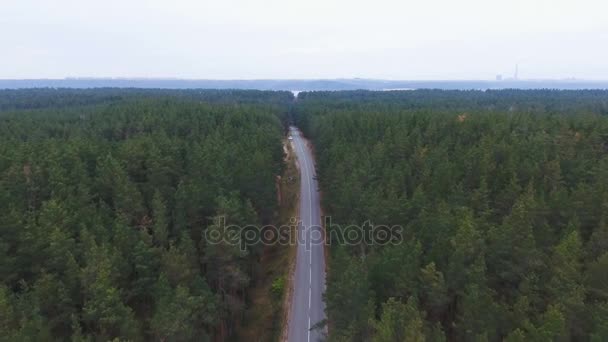 Ändlösa vägen i en skog. Flygfotografering. — Stockvideo