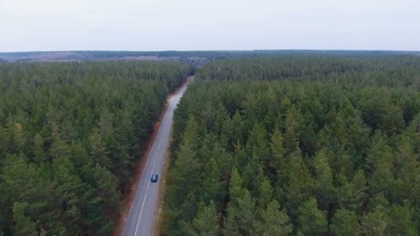 Бесконечная дорога в лесу. Аэрофотосъемка . — стоковое видео
