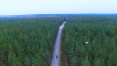 Dron, orman alanı izleme üzerinde uçan helikopter.