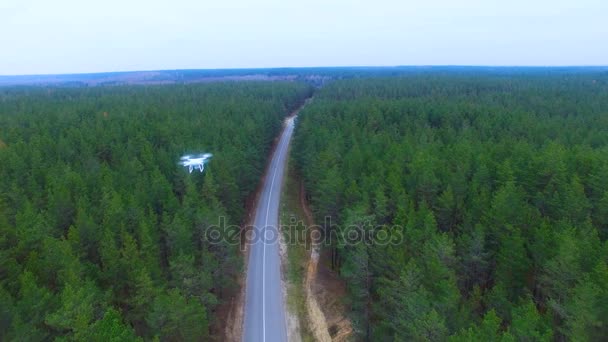 Drone, copter flying over forest monitoring area. — Stock Video