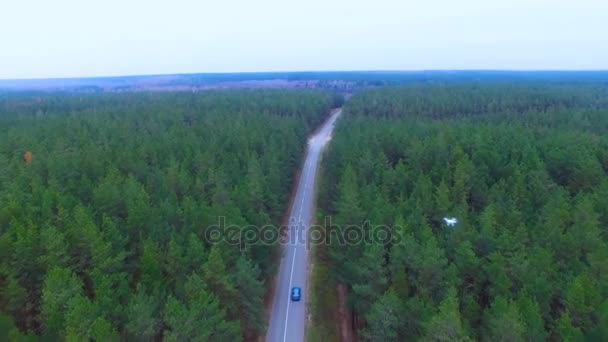 Drone, helicóptero sobrevolando el área de monitoreo forestal . — Vídeos de Stock