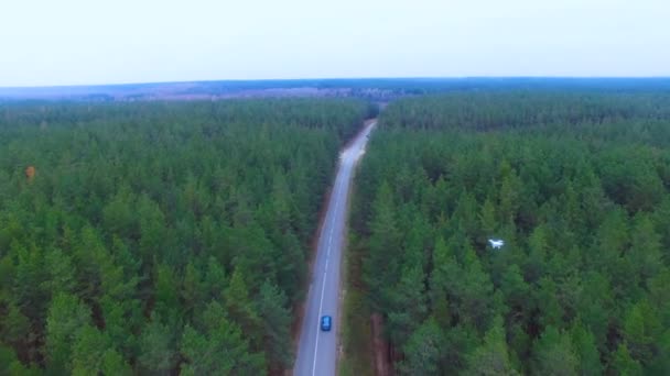 Drone, copter survolant la zone de surveillance forestière .