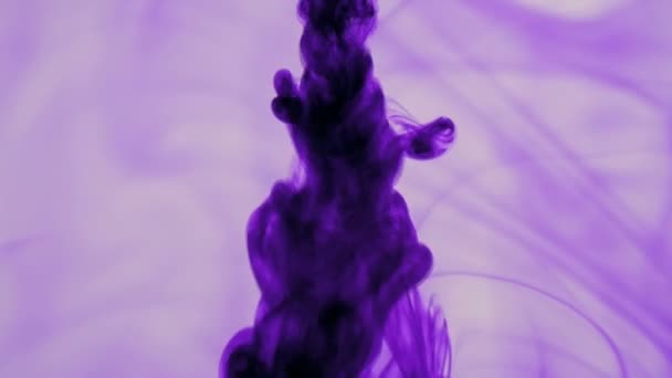 Purple ink in water. Purple vfoorga background. — Stock Video