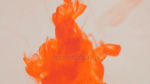 Orange ink in water. On a white background. — Stock Video