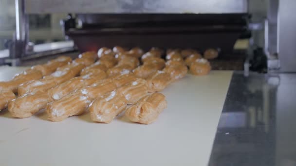 Línea transportadora con Eclairs en movimiento. Manos poniendo pasteles, pasteles, pasteles, postres en una línea de producción . — Vídeo de stock