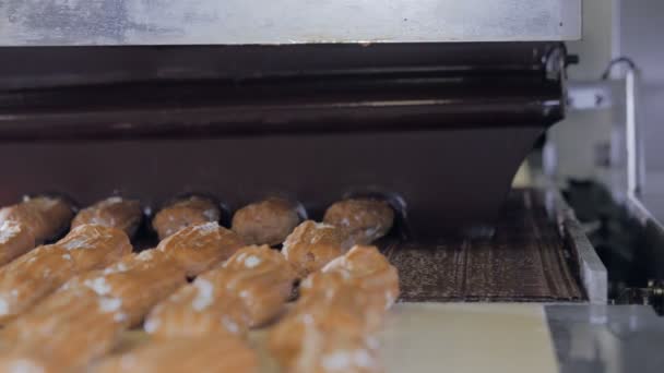 Conveyor line with moving Eclairs. Eclairs, cakes, pastry, dessert production line. — Stock Video