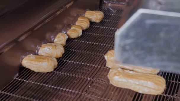 Gesmolten chocolade stroomt op verse romige éclair taarten op een transportband in een bakkerij. — Stockvideo