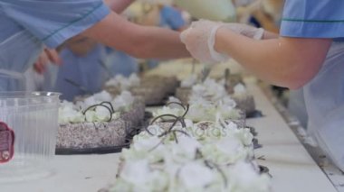 Konveyör üzerine kek dekorasyon şekerlemeciler eller. Kek üretim süreci.