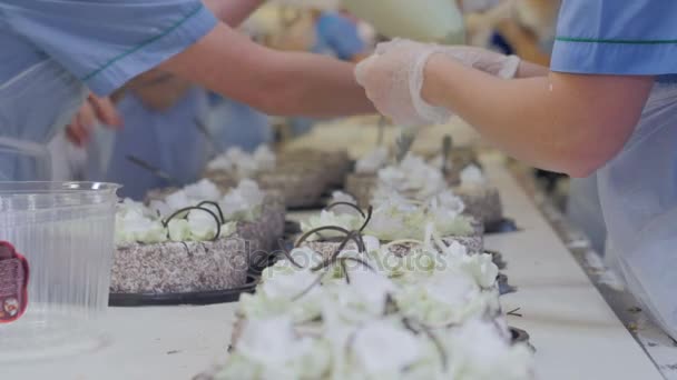 Confectioners hands decorating cakes on conveyor. Cake production process. — Stock Video