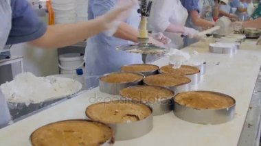 Kek üretim tesisimiz. Yemek, kek bir konveyör üzerine hazırlanıyor eller. Bir ekmek kek dekorasyon.