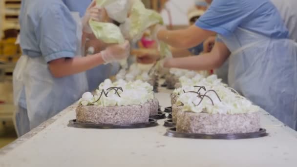 Pastelería Chefs Decoración de pasteles con chocolate, crema y azúcar en una fábrica de producción de pasteles . — Vídeos de Stock