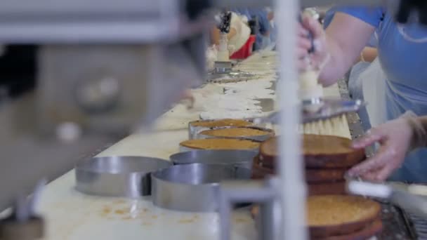 Automated cake production machine. Confectioners working on cakes producing equipment in bakery, cake production line. — Stock Video