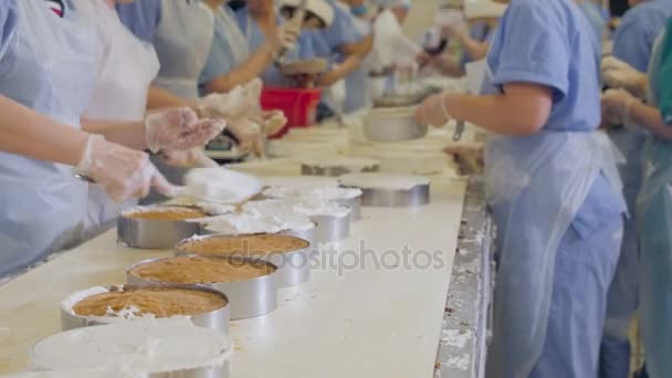 Taarten productie fabriek. Handen koken, bereiden cakes op een transportband. Versieren van taarten in een bakkerij. — Stockvideo