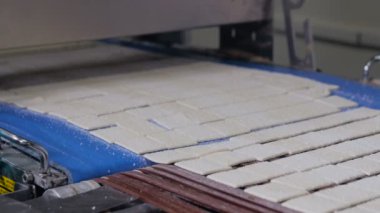 Konveyör hareket bisküvi. Kurabiye, kraker bisküvi üretim hattı.