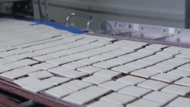 Cookies, biscoitos em transportador. Produção mecanizada de produtos de padaria . — Vídeo de Stock