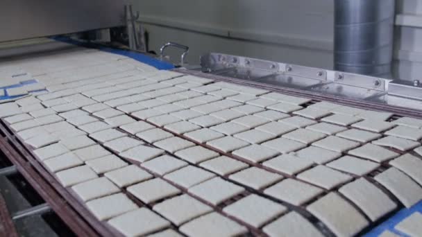 비스킷 컨베이어에 이동입니다. 쿠키, 크래커 건 빵 생산 라인. — 비디오