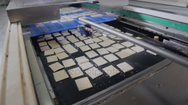 Biscuits en mouvement sur convoyeur. Cookie, cracker Ligne de production de biscuits . — Video