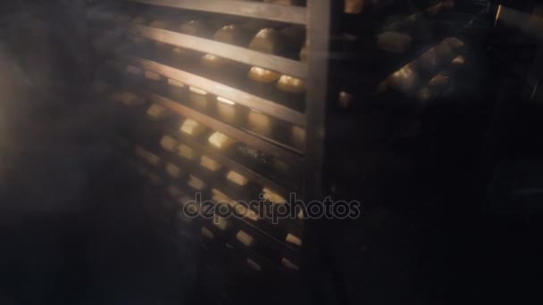 Cookies baking in the industrial oven. Cakes and cookies production factory. — Stock Video