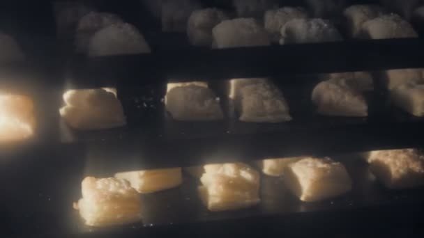 Koekjes bakken in de industriële oven. Cakes en koekjes productie fabriek. — Stockvideo
