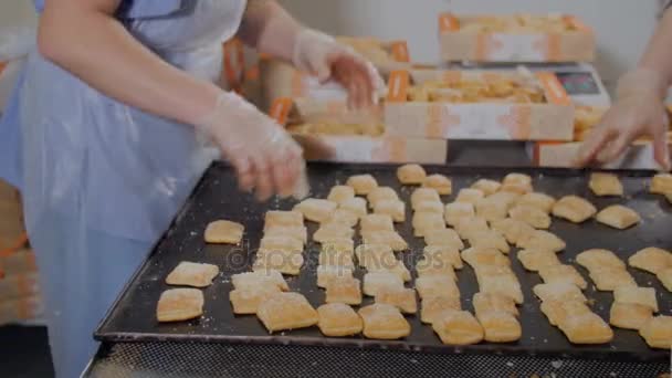 Onherkenbaar koekjes van de verpakking van de Chef van het gebakje, cookies in industriële food fabriek. Cookies productielijn. — Stockvideo