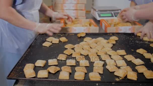 Biscoitos de embalagem de Chef de pastelaria irreconhecível, biscoitos na fábrica de alimentos industriais. Linha de produção de cookies . — Vídeo de Stock