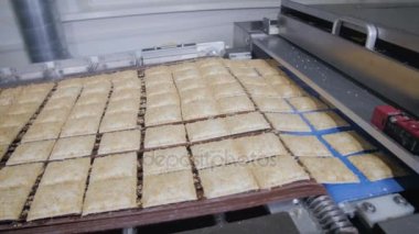 Kurabiye, bisküvi konveyör üzerine. Mekanize fırın ürünleri imalatı.