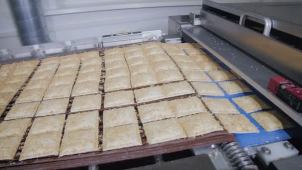 Galletas, galletas en el transportador. Producción mecanizada de productos de panadería . — Vídeos de Stock