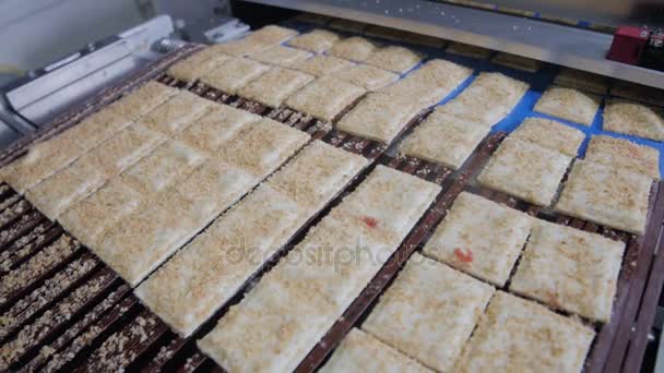 Cookies, biscuits sur convoyeur. Production mécanisée de produits de boulangerie . — Video