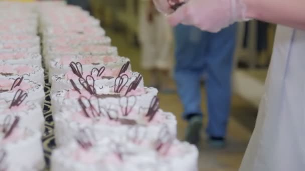 Pastelero Decora Pasteles con chocolate, crema y azúcar en una fábrica de producción de pasteles . — Vídeos de Stock