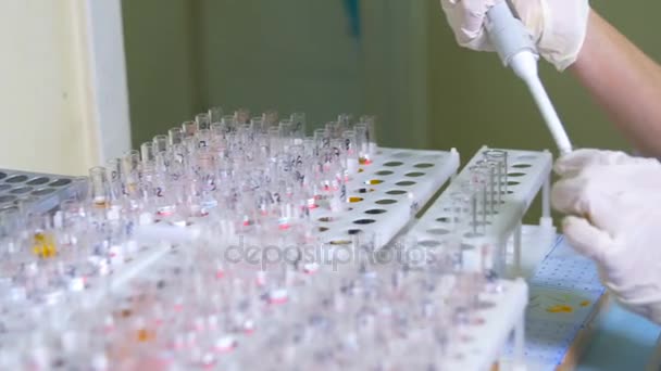 Blodprov i provrör. Läkare, forskare som arbetar med provrör, medicinsk injektionsflaskor. — Stockvideo