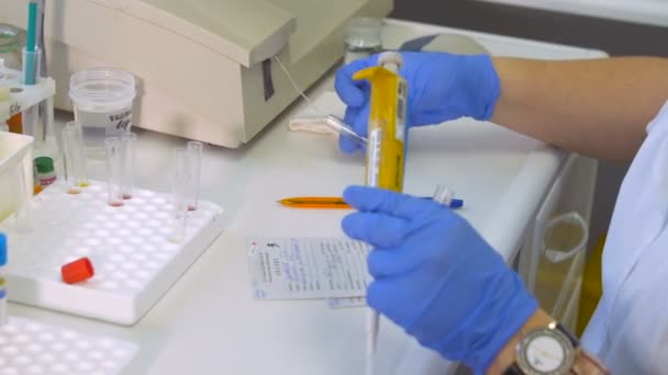 Cientista feminina que trabalha com tubos de ensaio, pipeta e análise de amostras de sangue em laboratório . — Vídeo de Stock